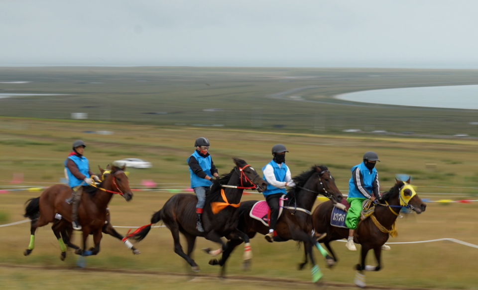 OTilw, 在大洋马决, 特色牦牛肉