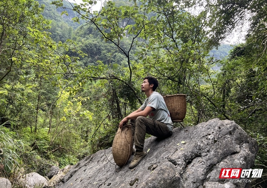 级别的荒野, 选手的体能