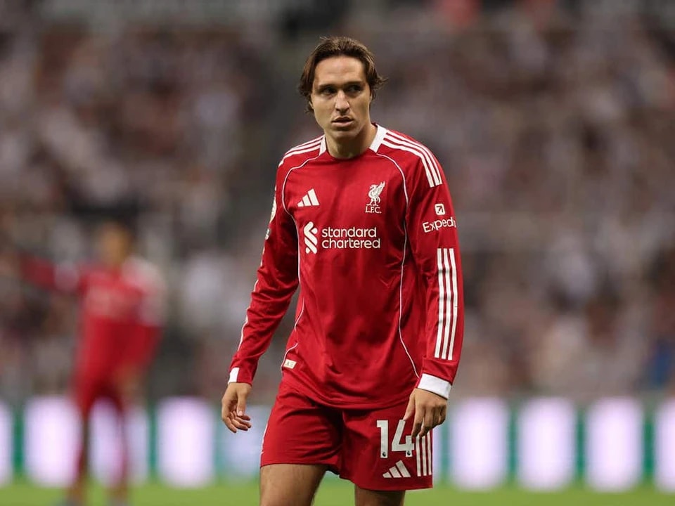 切尔尼和租, 借自费内巴